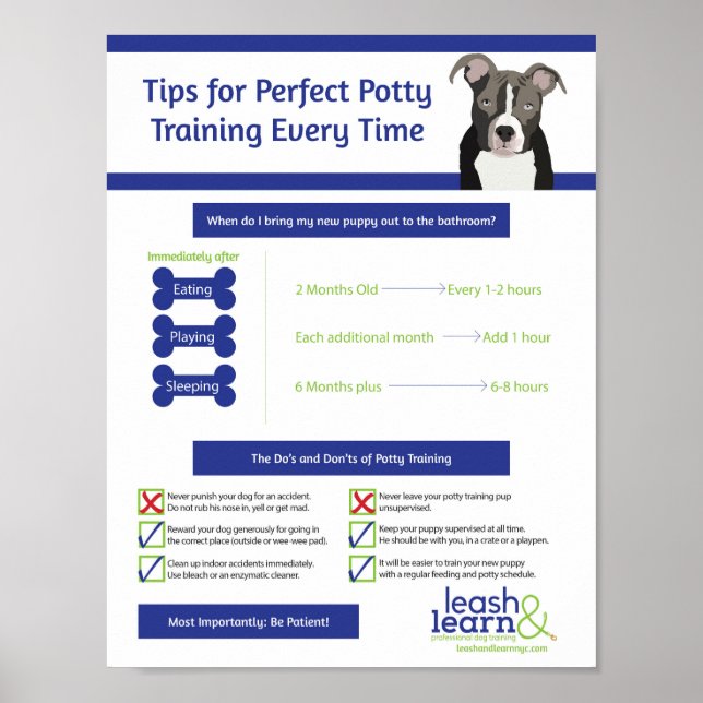 Poster Treinamento Perfeito Puppy Potty (Frente)