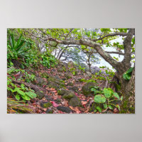 Trekking the Kalalau Trail, Costa Napali, Kauai
