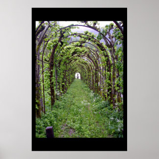 Póster Trellis Tunnel - Alemanha