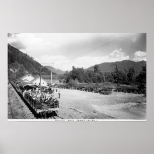 Póster Trem do turista do projeto de Skagit
