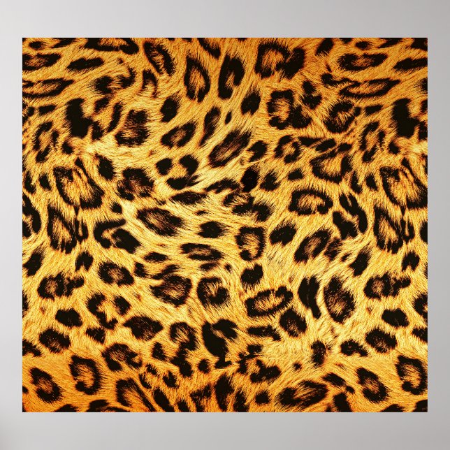 Poster Trendy Leopard: Padrão de Design da pele. (Frente)