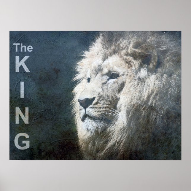 Poster Trendy Lion Modelo Nature Animal O Rei Foto (Frente)