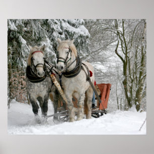 Poster trenó+corrida,neve,cavalo,inverno,branco,galope,
