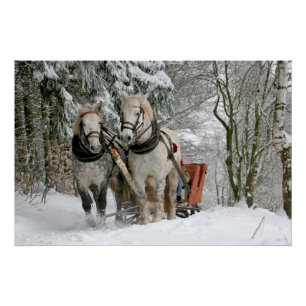 Póster trenó+corrida,neve,cavalo,inverno,branco,galope,