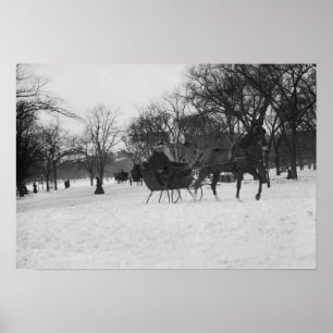 Póster Trenó puxado a cavalo no Central Park, Nova Iorqu