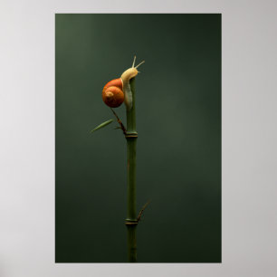 Poster Trepador de Bambu Lento e Constante