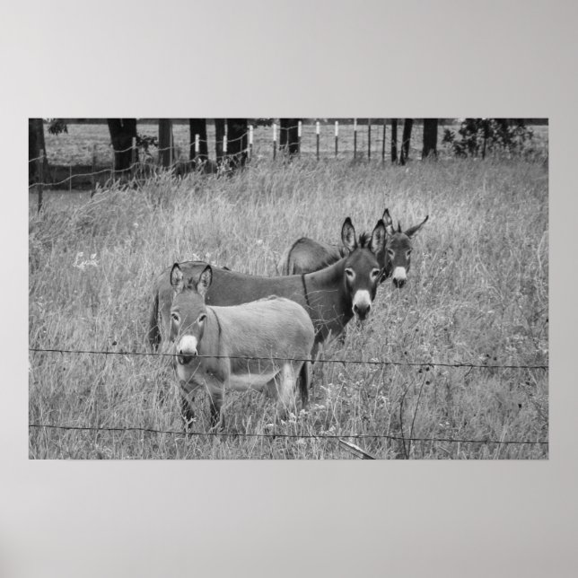 Póster Três Amigos (Frente)