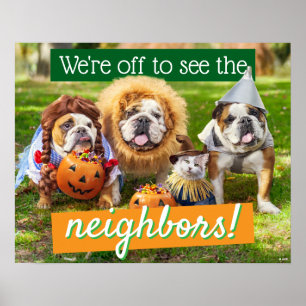 Poster Três Bulldogs Vestidos