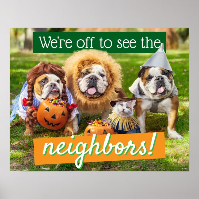 Poster Três Bulldogs Vestidos (Frente)