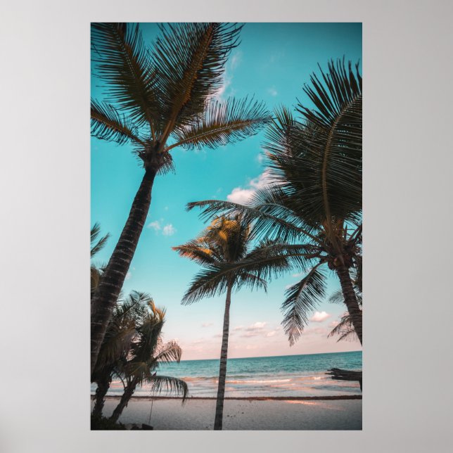 Poster Três coqueiros em orla marítima (Frente)