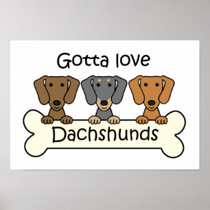 Poster Três Dachshunds