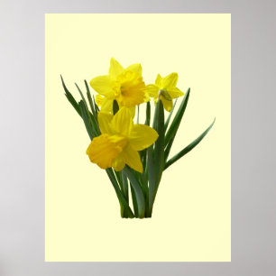 Poster Três Daffodils que estão a guarda