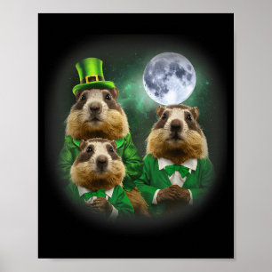 Poster Três Dia da Marmota Lua 3 Dia da Marmota Cabeça St