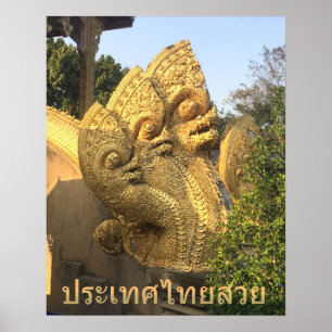 Póster Três dirigiram o Naga