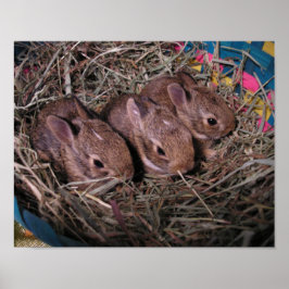 Poster Três Em Fila