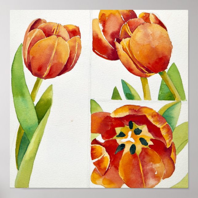 Póster Três estudos de tulipas em um certo ano de 2013 (Frente)