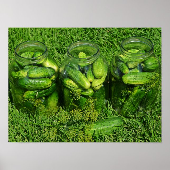 Poster Três frascos de picada cheios de pepinos inteiros (Frente)