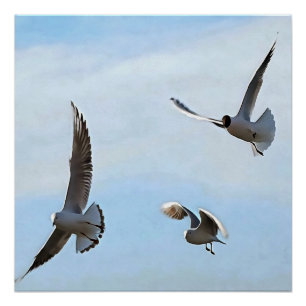 Póster Três Gaiolas Pretas De Cabeça Da Arte Bósforo