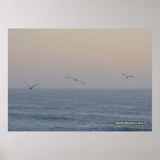 Poster Três gaivotas (Frente)