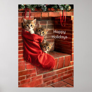 Poster Três gatinhos em um Cartaz de Meia de Natal