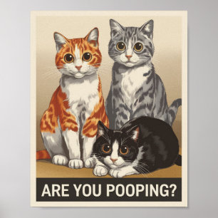 Poster três Gatos & uma Pergunta Você Está Defecando? Gat