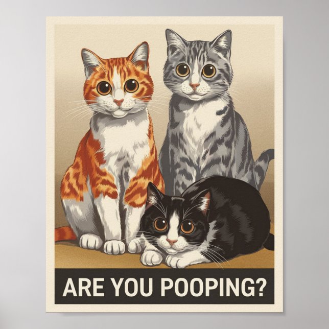Poster três Gatos & uma Pergunta Você Está Defecando? Gat (Frente)