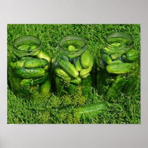 Poster Três Jares de Picling cheios de Pepinos Inteiros
