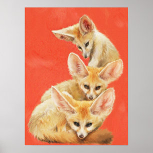 Póster Três jogos do Fox de Fennec