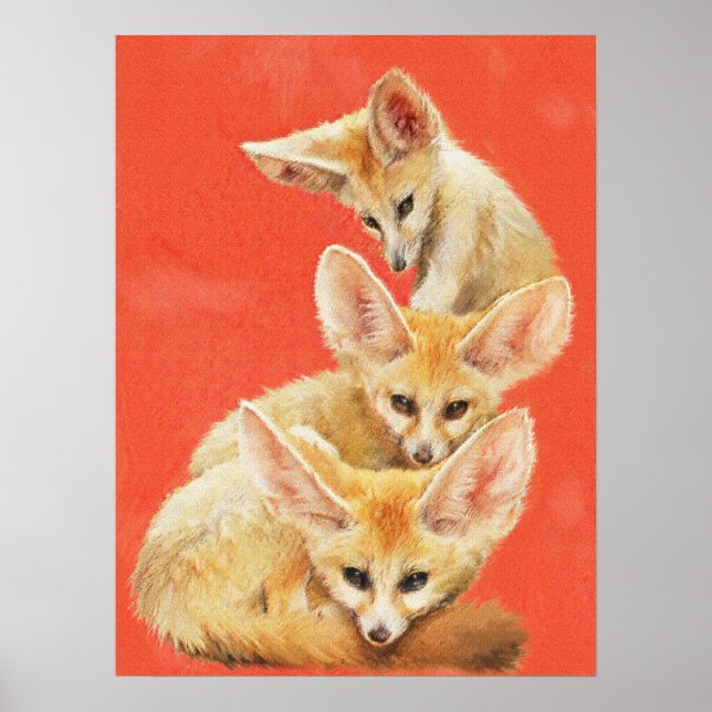 Póster Três Kits Fennec Fox (Frente)