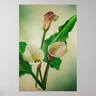 Poster Três Lírios Calla Afiados em acrílico Botânico
