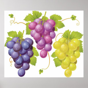 Poster Três Montes De Uvas