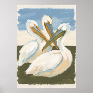 Poster Três Pelicanos Brancos Arte Popular Costeira
