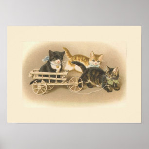 Póster Três Pequenos Gatinhos