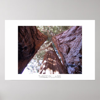 Póster Três pilares