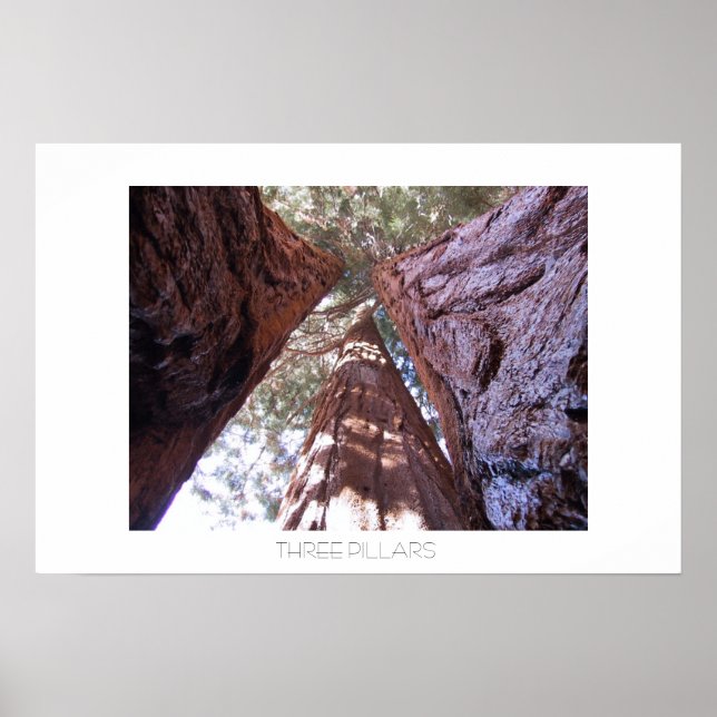Póster Três pilares (Frente)