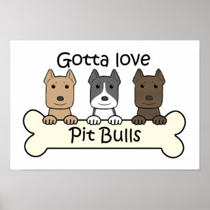 Póster Três Pitbulls