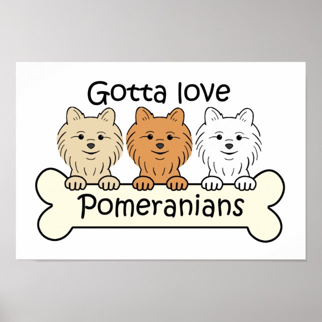 Póster Três Pomeranianos (Frente)