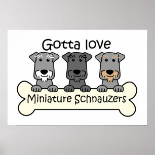 Poster Três Schnauzers diminutos
