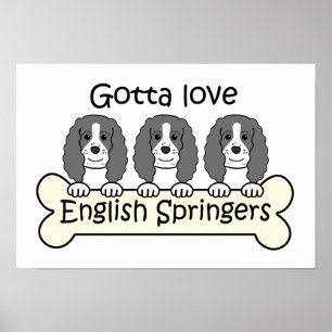 Póster Três Spaniels de Springer inglês