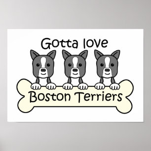 Poster Três terrier de Boston