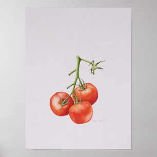 Póster Três tomates na videira 1997