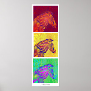 Póster três zebras