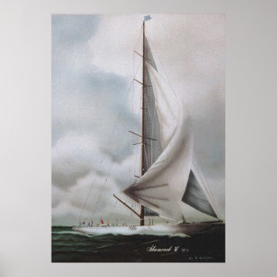Póster Trevo IV