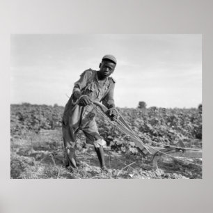 Póster Treze-ano velho arando um campo em Geórgia