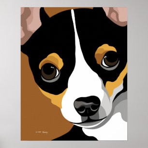 Póster Tri chihuahua da cor