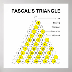Poster Triângulo de Pascal Com Rótulos