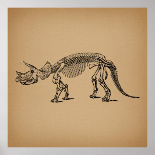 Poster Triceratops Dinossauro Esqueleto Arte Pré-Históric