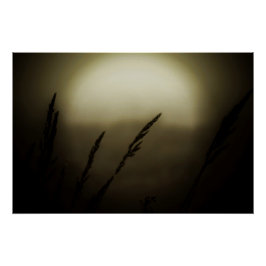 Póster Trigo no Sunset