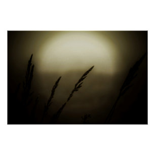 Póster Trigo no Sunset