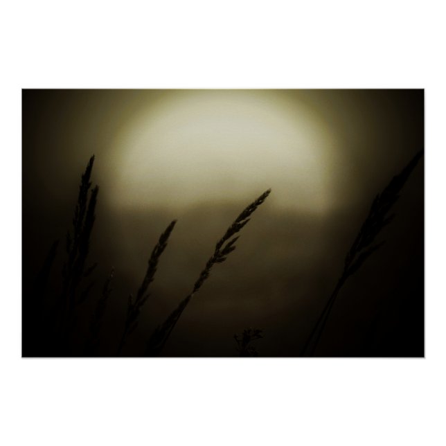 Póster Trigo no Sunset (Frente)